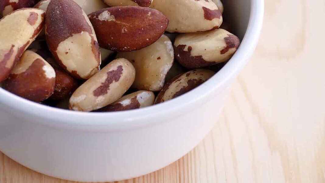 Brazil Nuts Fertility Benefits at David Gomez blog