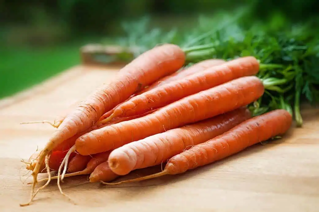 Carrots, the best food for good eyesight and improved vision.