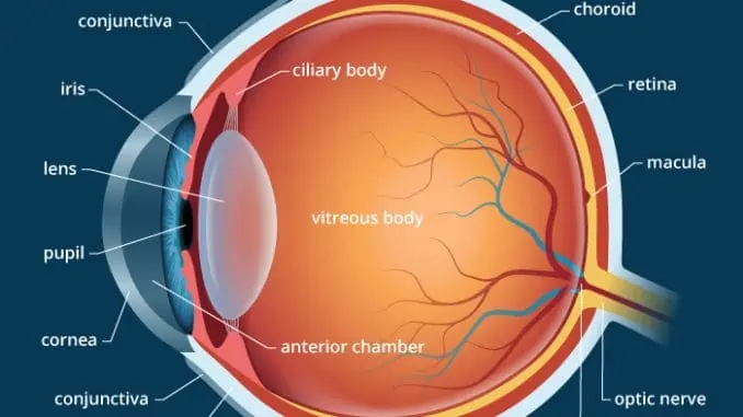improve and protect your eyesight naturally.