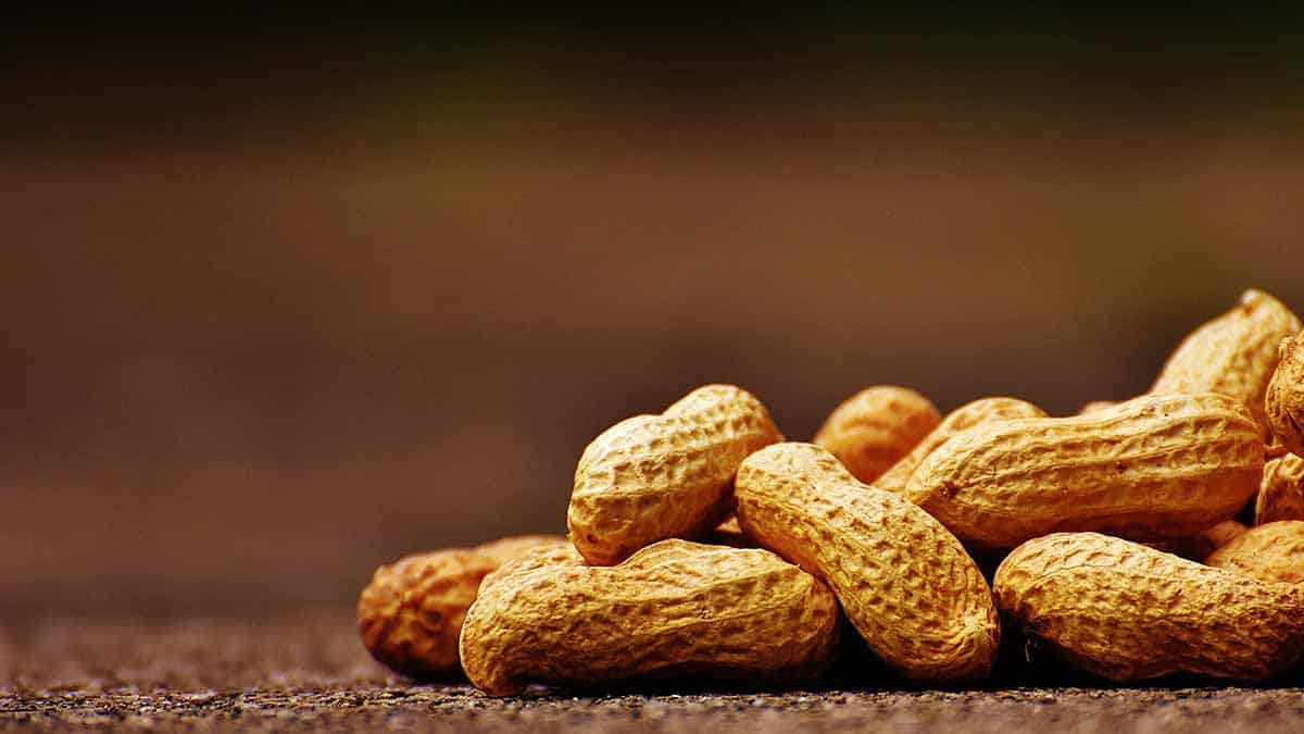 Zinc in peanuts and peanut butter