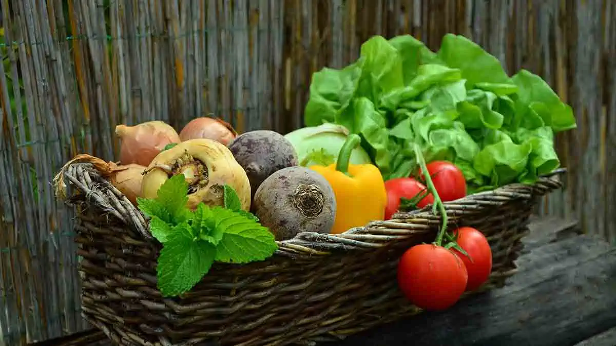 Mediterranean diet health benefits. Why reduce disease risks?