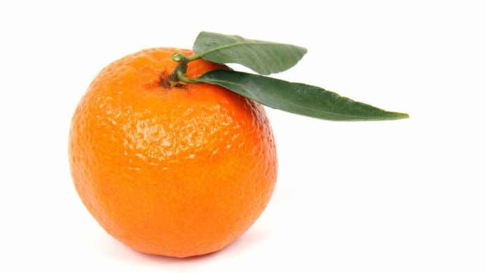 orange clementine tangerine difference