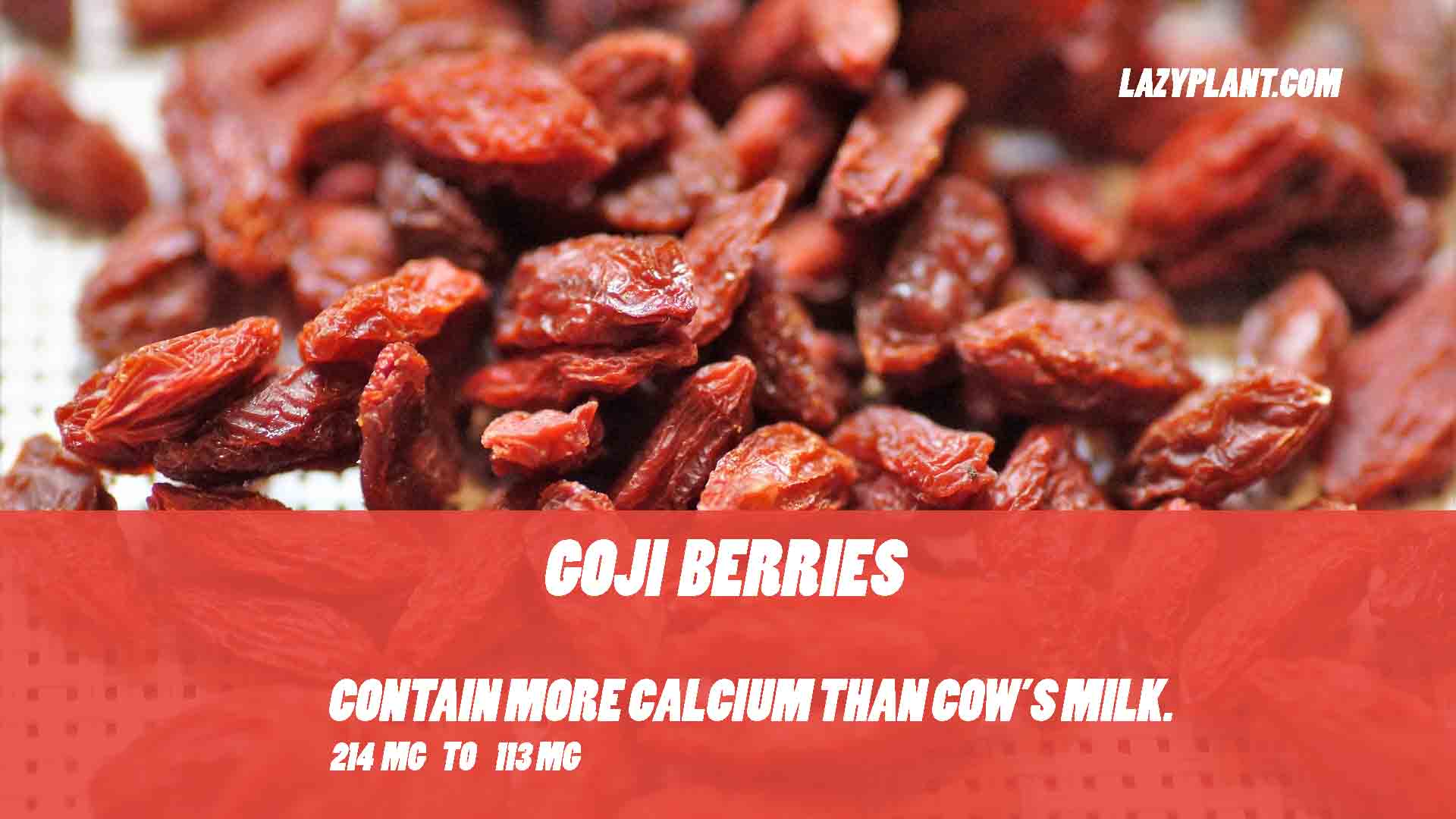 17 common fruits rich in calcium.
