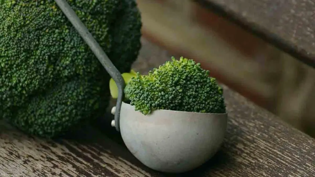 How much fiber in broccoli? Is the dietary fiber content of 1 cup enough?