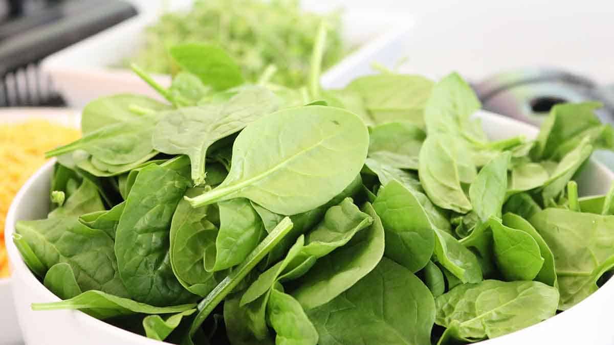 How much fiber in spinach?