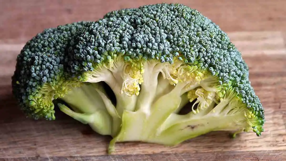 How much vitamin K in Broccoli?