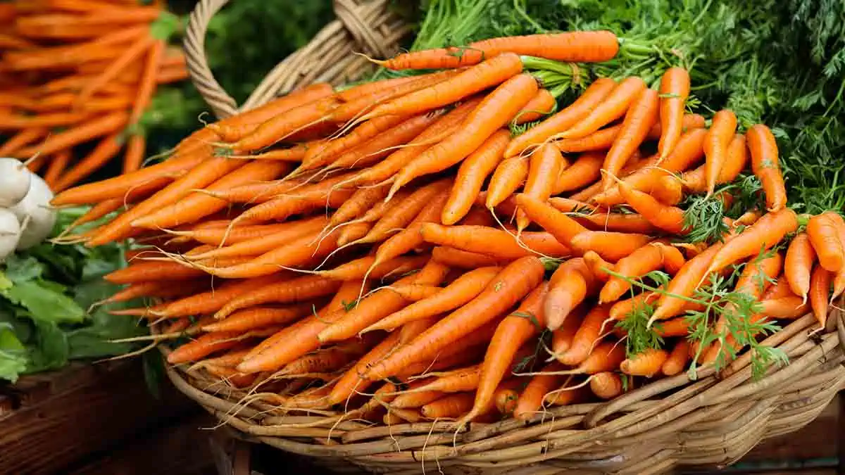 Can carrots help eyesight?