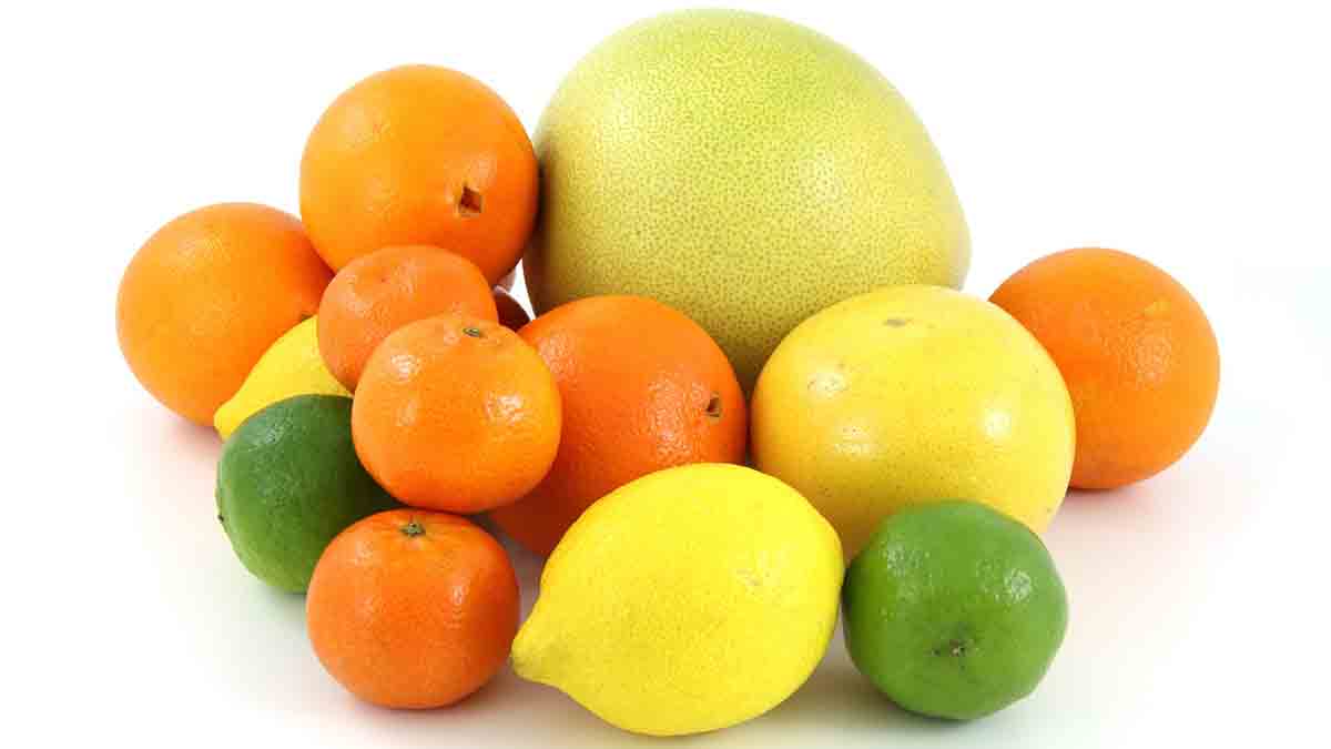 Which citrus fruit contains more vitamin C? Orange, lemon, or grapefruit?