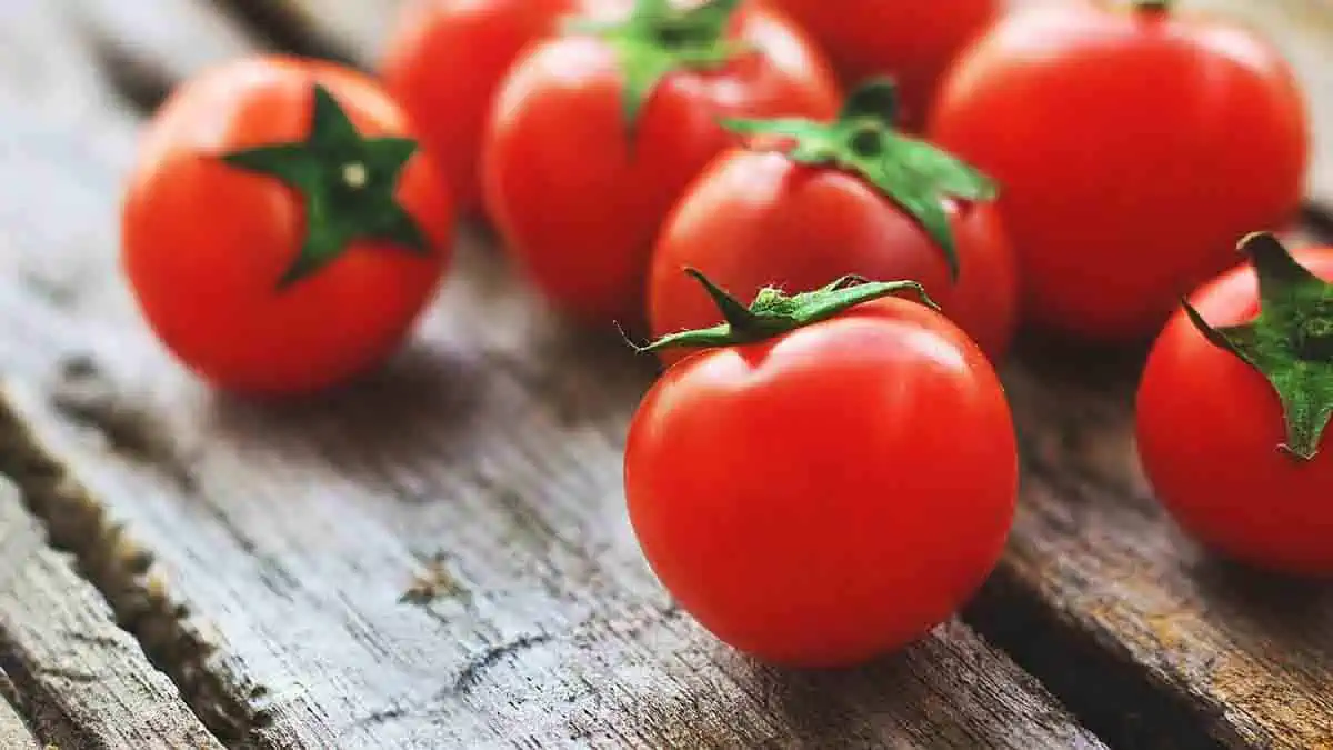 How much lycopene in tomato?