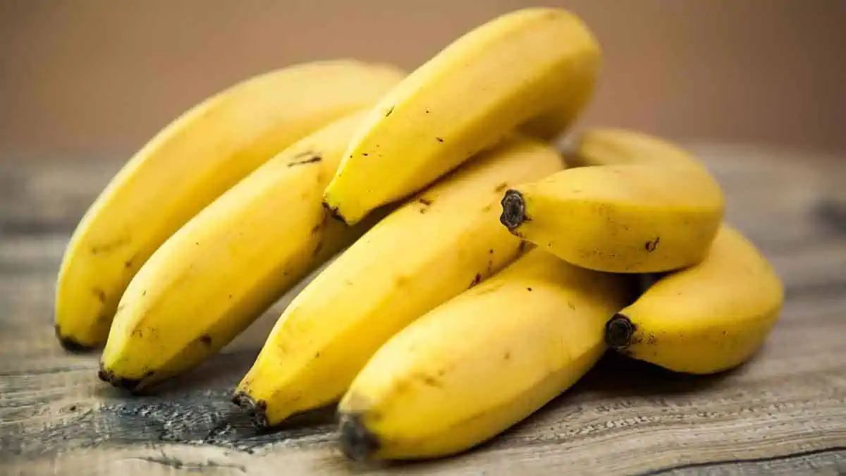 Does eating a banana before bed help to lose weight?
