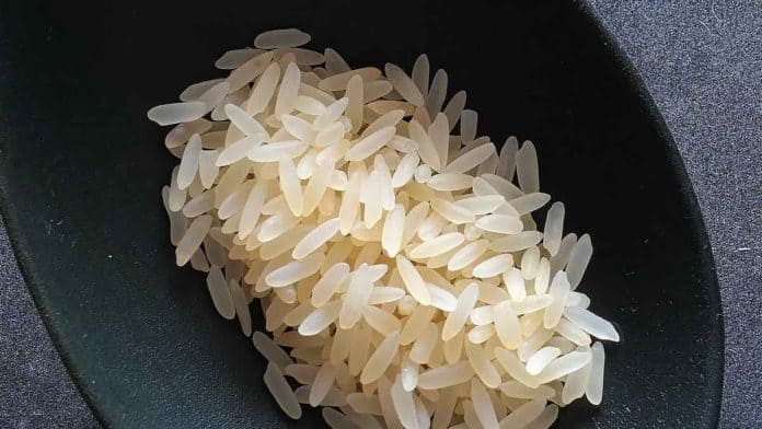 How many calories are in a cup of cooked rice?