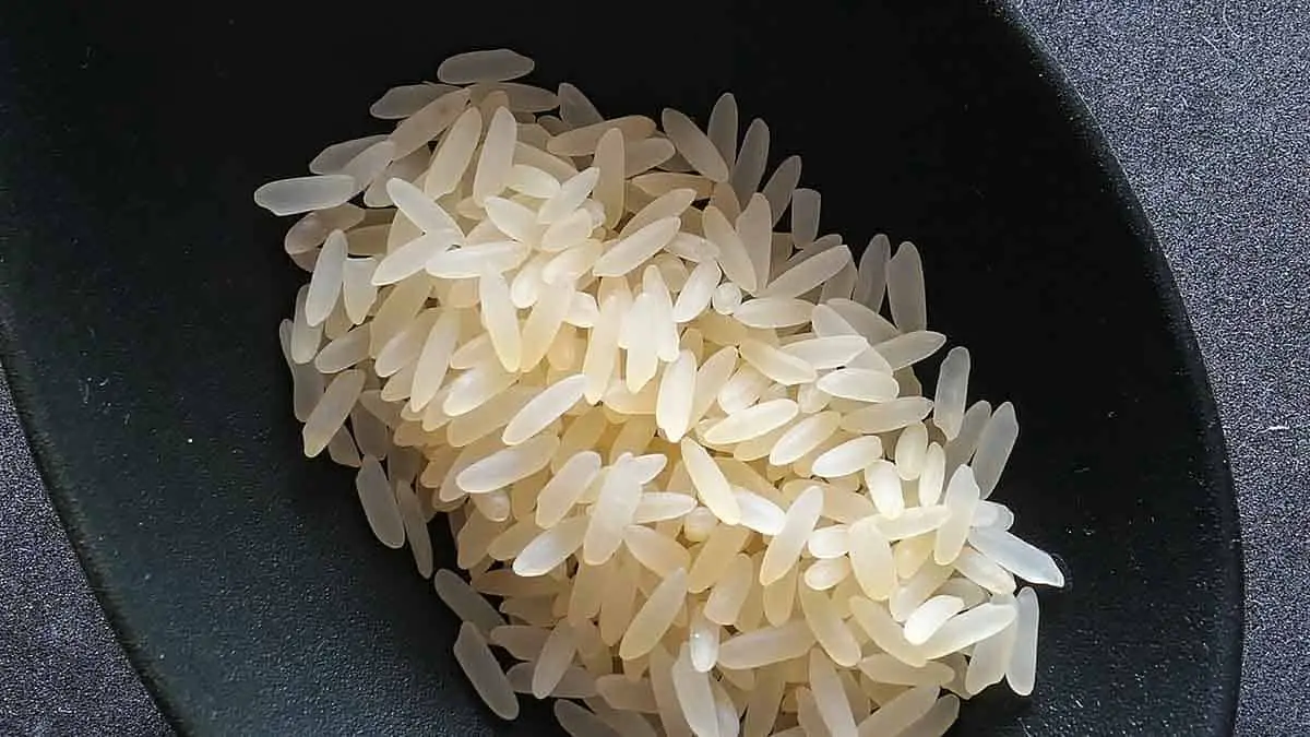 How many calories in a cup of cooked rice?