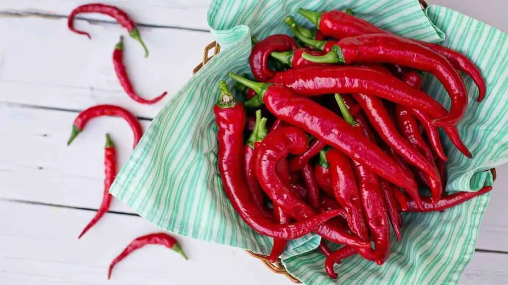 is-cayenne-pepper-good-for-blood-pressure-lazyplant