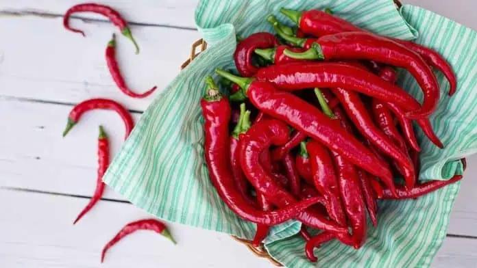 is-cayenne-pepper-good-for-blood-pressure-lazyplant