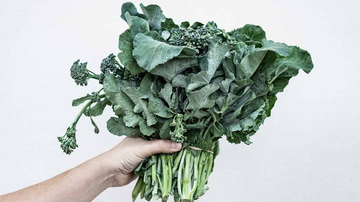  broccoli leaves