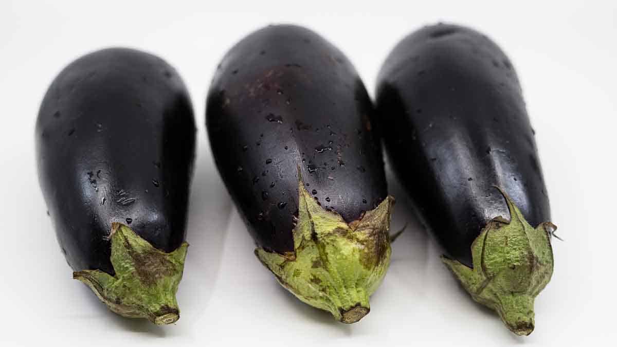 eggplant is good for weight loss