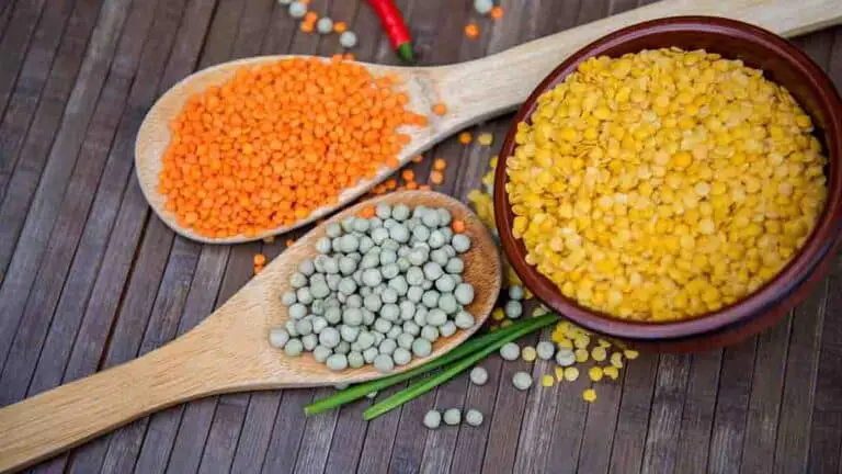 Can protein make you gain weight? - LazyPlant