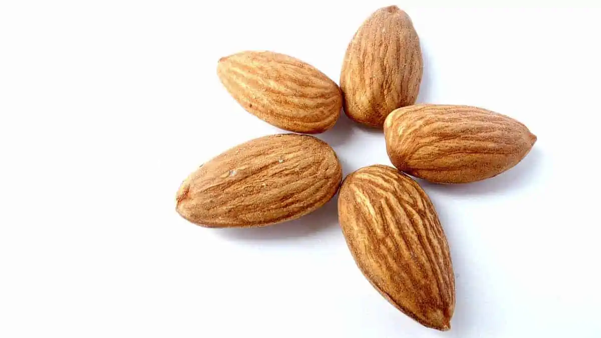 almonds for muscle growth