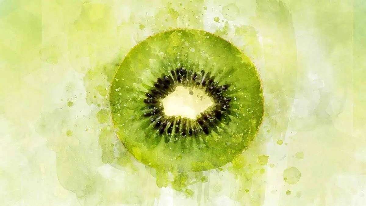 kiwi for muscle growth & sport performance