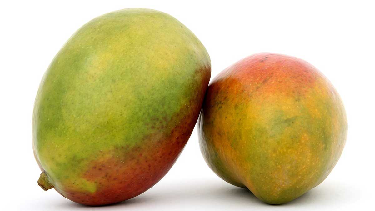 does-mango-make-you-poop-lazyplant