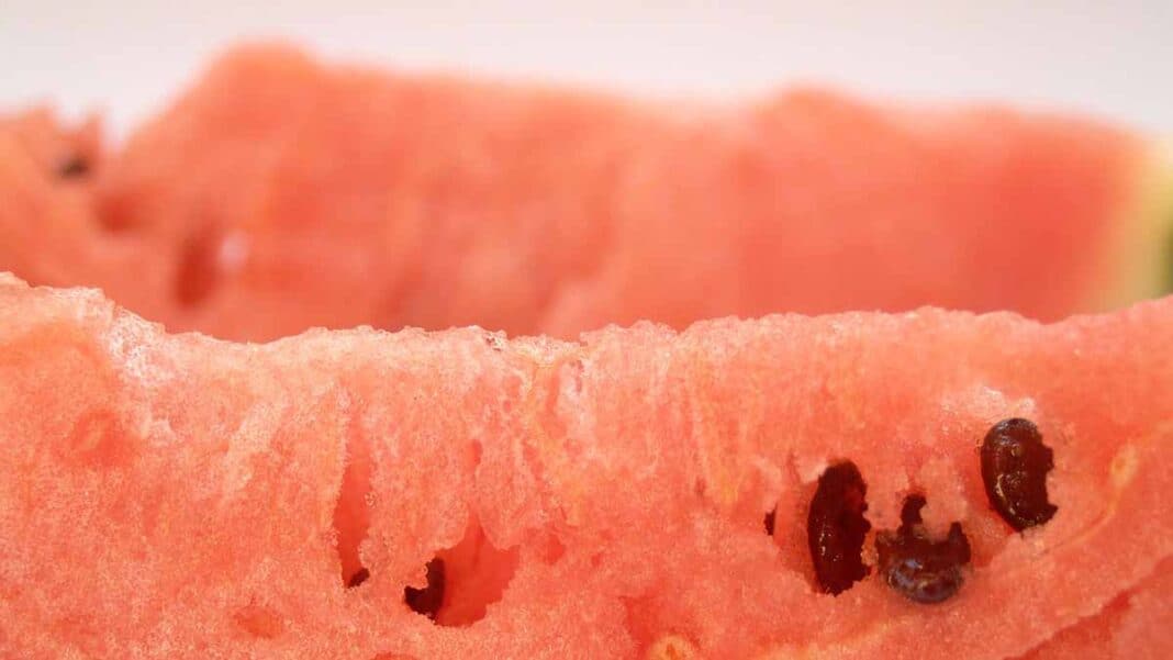  Are Watermelon Seeds Edible LazyPlant