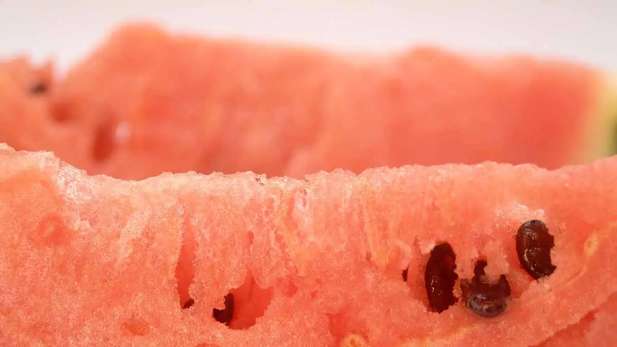 Watermelon seeds aren't poisonous. They're edible!