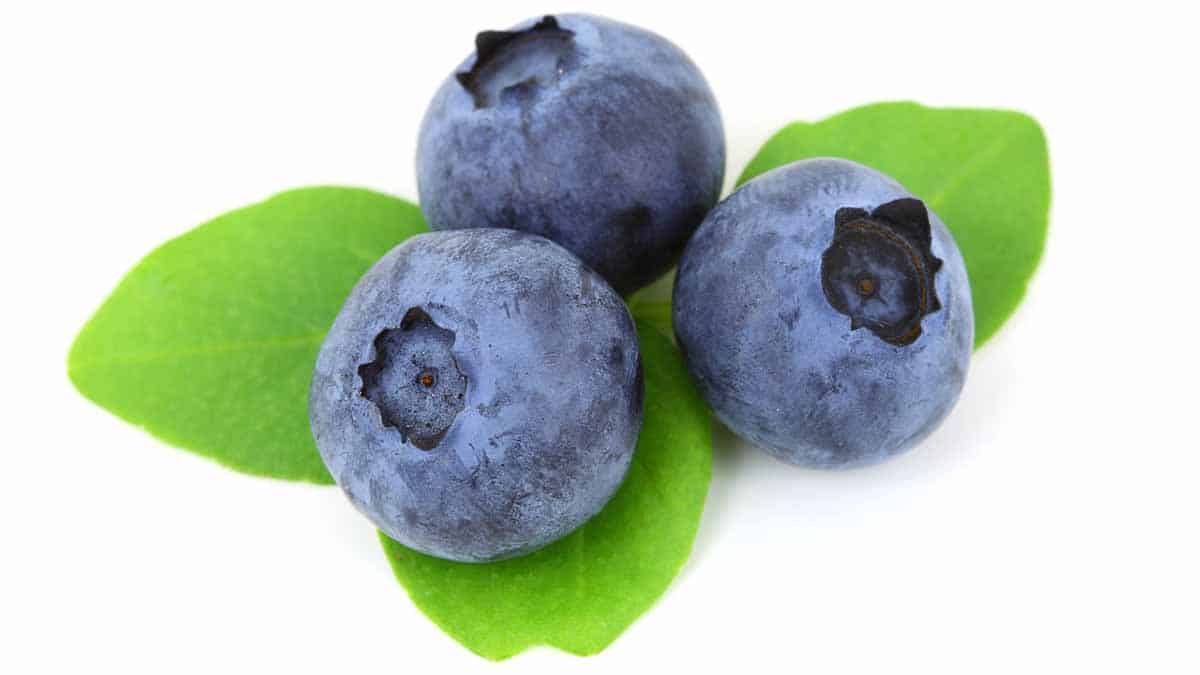 how to eat blueberries for weight loss & fat burning?
