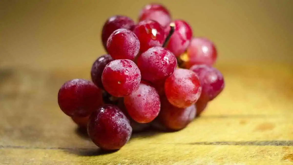what's the best time to eat grapes for weight loss?