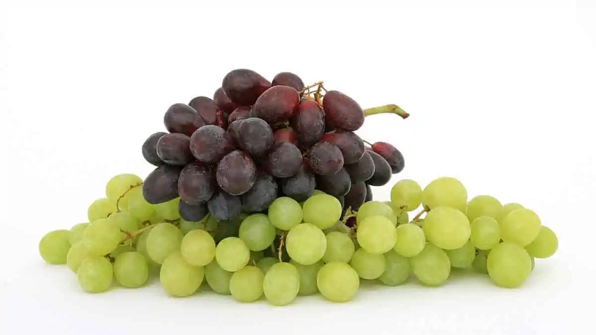 grapes are good for the skin