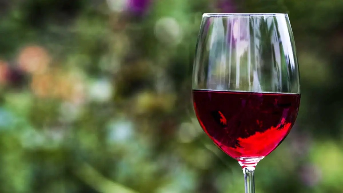 a glass of red wine a day is good for weight loss