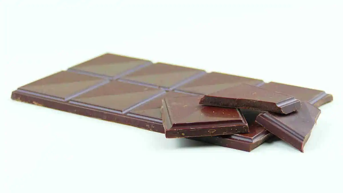 best time to eat chocolate for weight loss