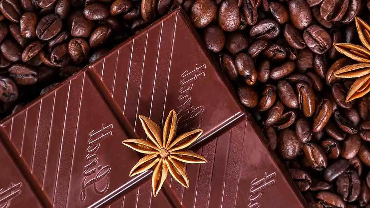 caffeine content of chocolate