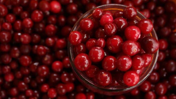What's the sugar content of cranberry products?