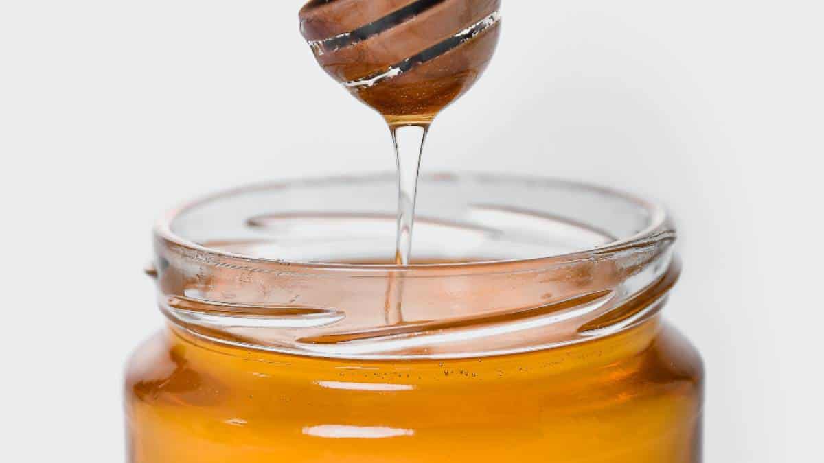 What's the protein content of honey?