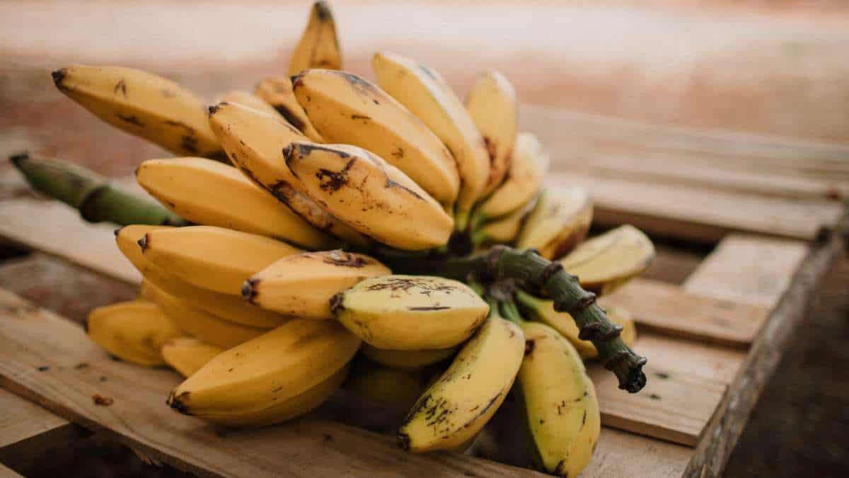 Is banana high in magnesium?