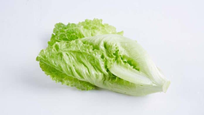 What's the fiber content of lettuce?