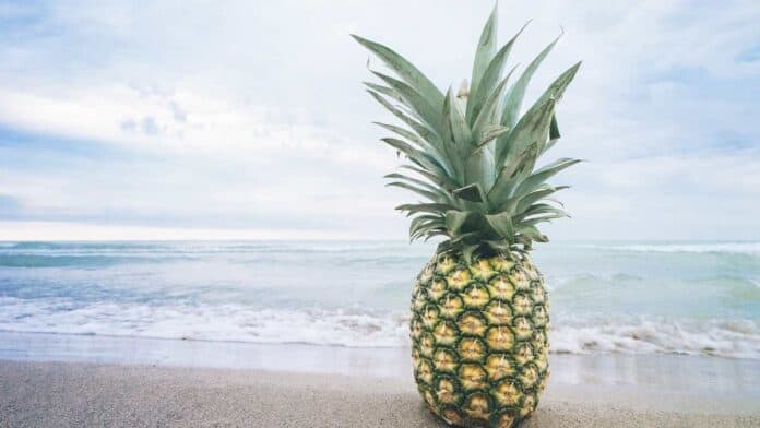 Is pineapple high in fiber?