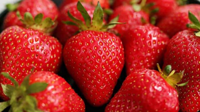 strawberries are high in vitamin C