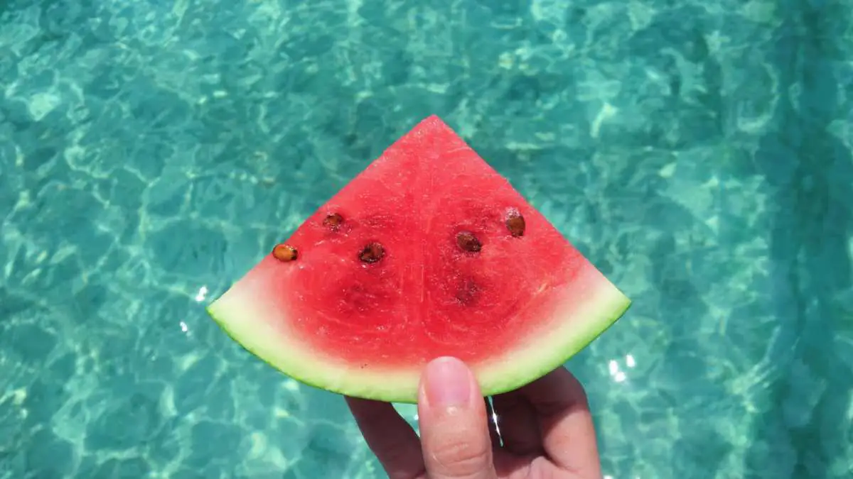 Is watermelon high in fiber?