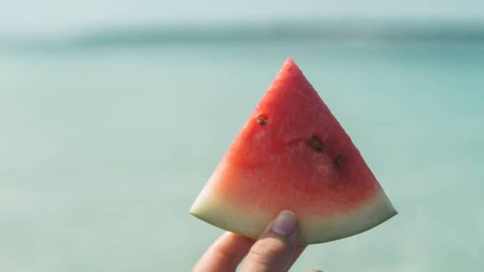 What's the water content of watermelon?