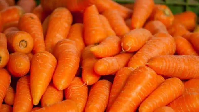 Carrots are low in calories.