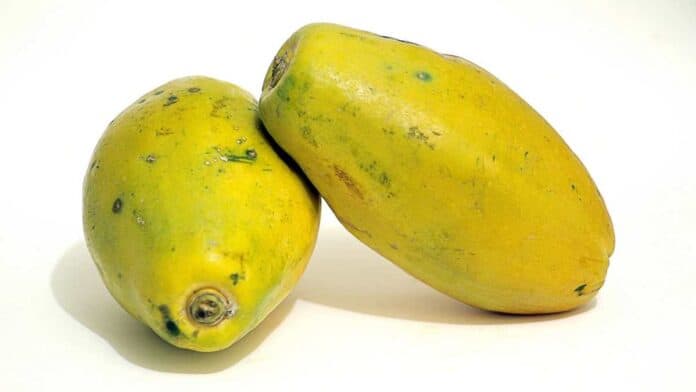 Papaya is a good dietary source of potassium.