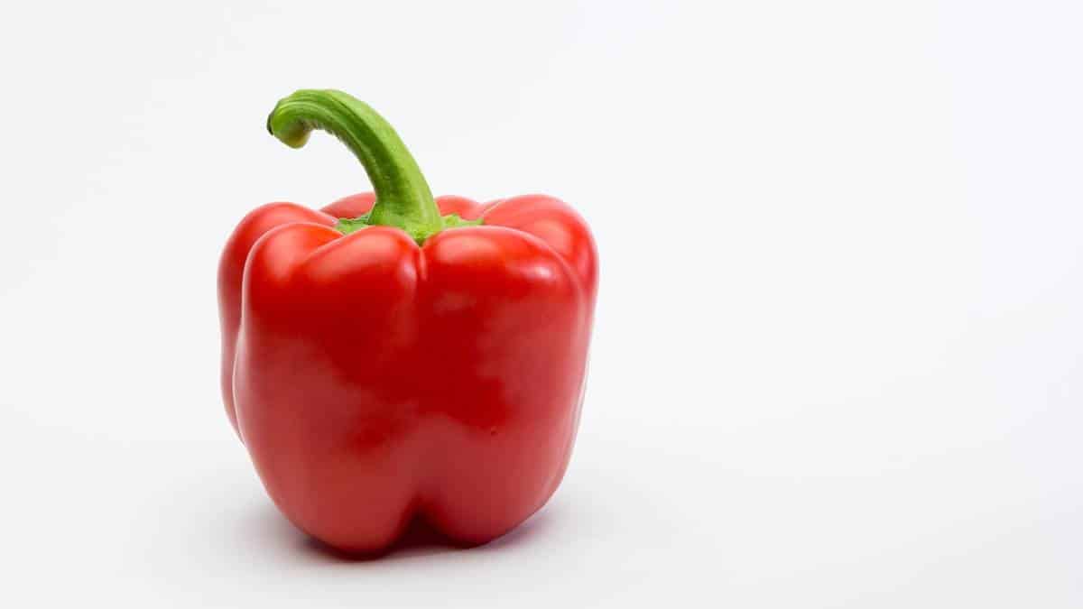 peppers are pretty low in carbs