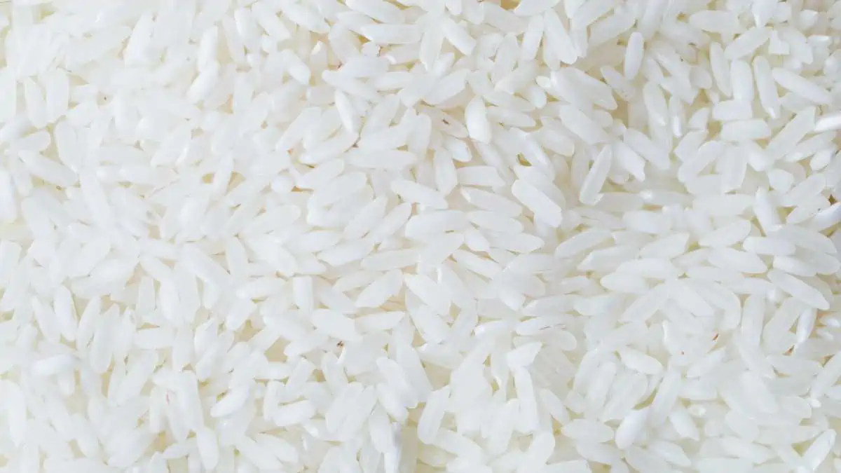 Is rice rich in sugar?