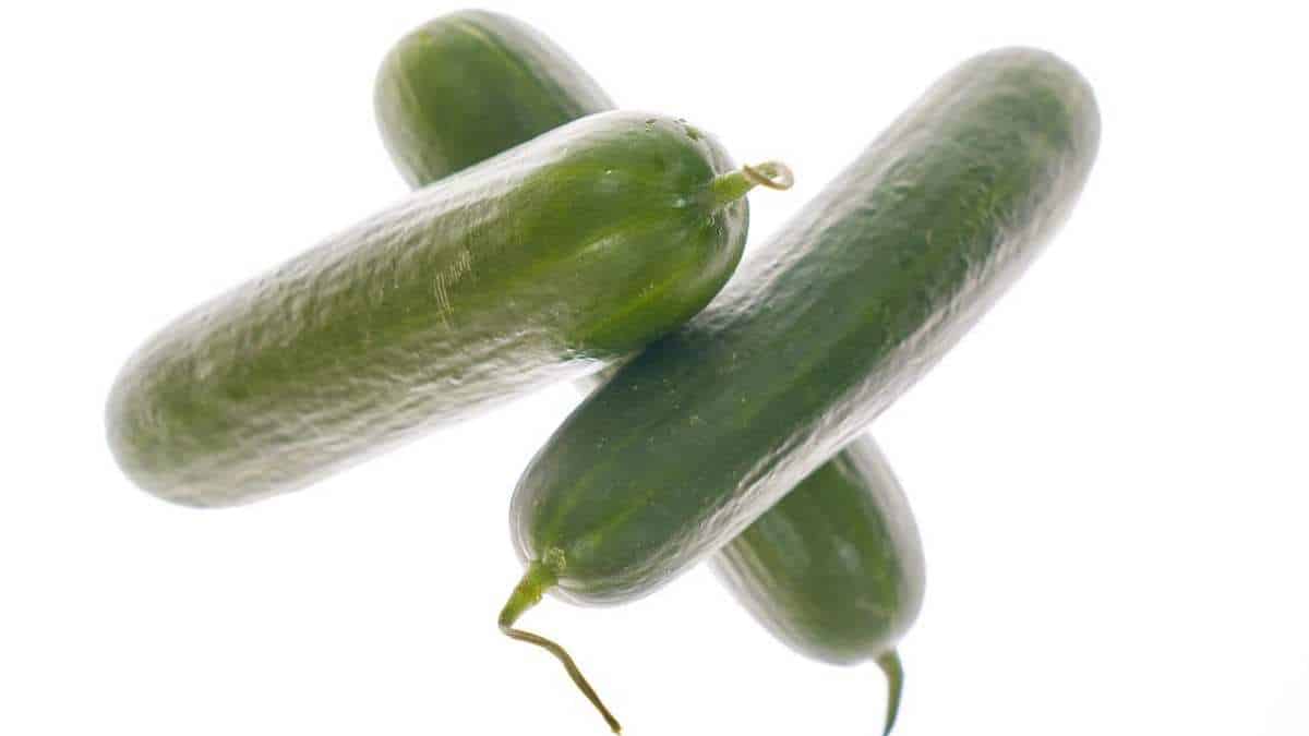 Cucumber has a medium potassium content.