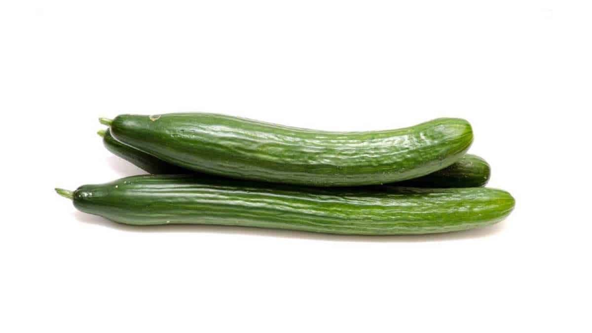 Is cucumber rich in protein?