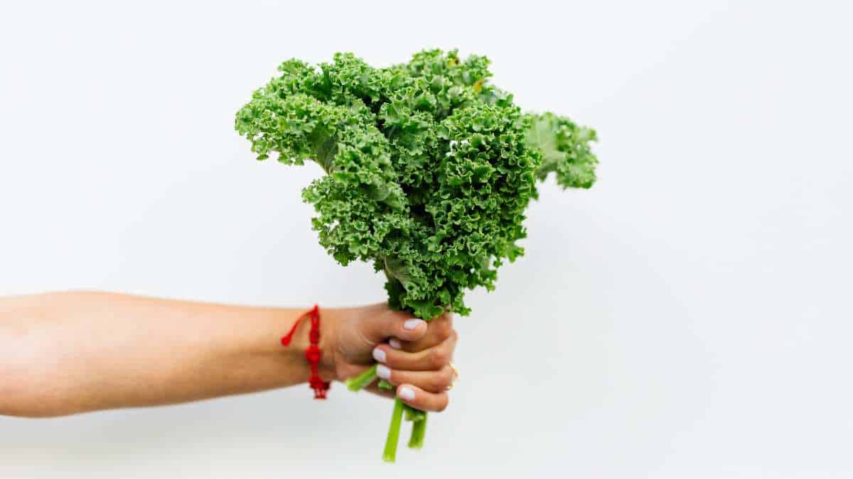 Kale is the richest common vegetable in fiber.