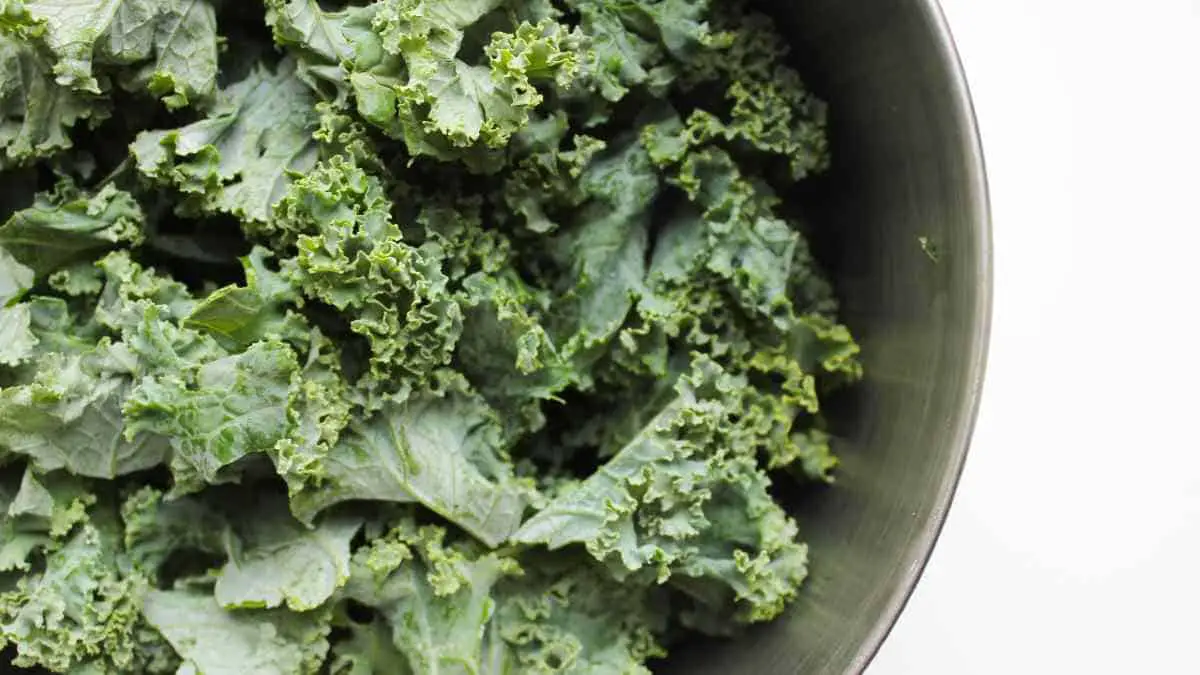 Kale is rich in protein.