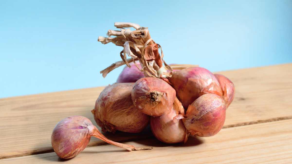 Onions are rich in fiber.