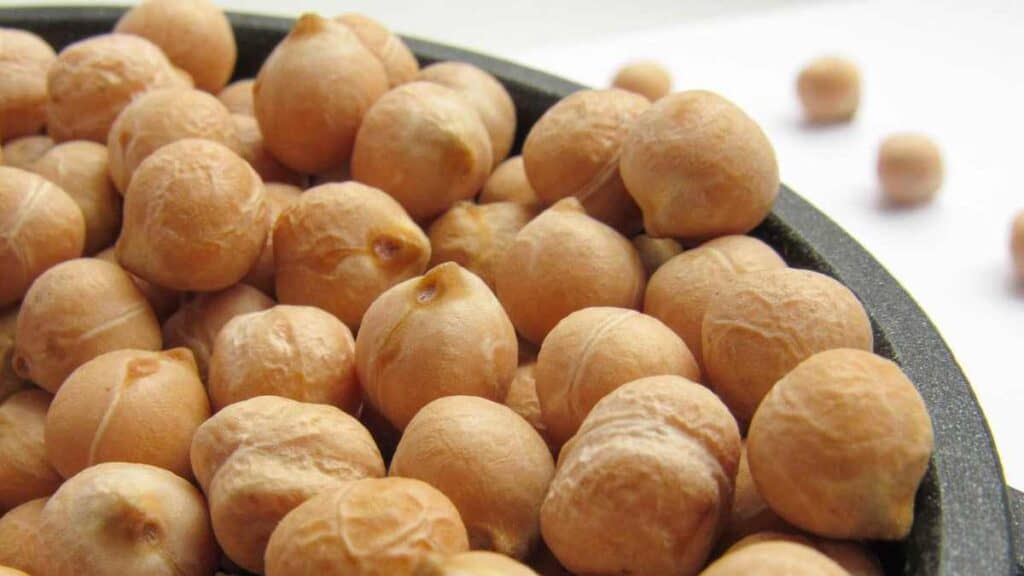 LazyPlant "Let food be thy medicine"